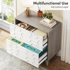 Meuble de rangement latéral à 2 tiroirs, blanc/marron, rangement pour bureau à domicile